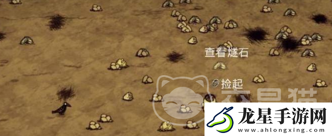 饑荒聯(lián)機(jī)版隕石區(qū)在哪里