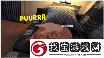 墮落之主閃爍的連枷帶什么眼睛