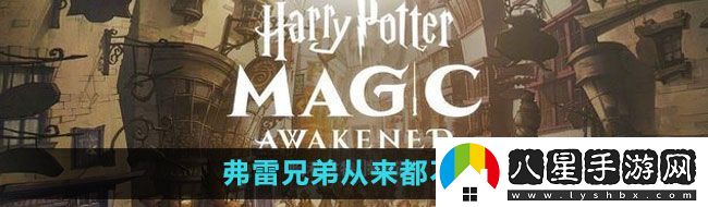 哈利波特魔法覺(jué)醒弗雷兄弟從來(lái)都不懂拼圖位置在哪