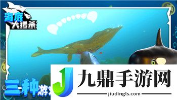 密室逃脫探索地庫(kù)6攻略圓門怎么進(jìn)—全面解析圓門解鎖方法與技巧
