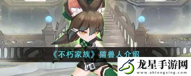 不朽家族貓獸人職業(yè)詳解及三大類別介紹