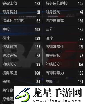 美職籃全明星霍勒迪好用嗎
