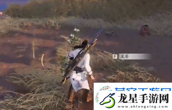 燕云十六聲杏花不見怎么獲得燕云十六聲杏花不見獲取方法