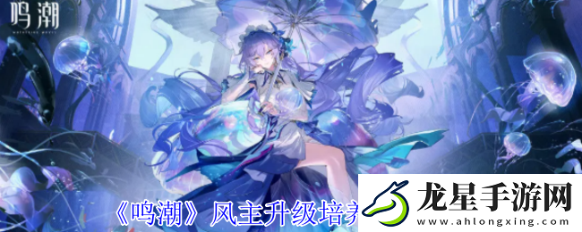 鳴潮風(fēng)主升級培養(yǎng)材料一覽