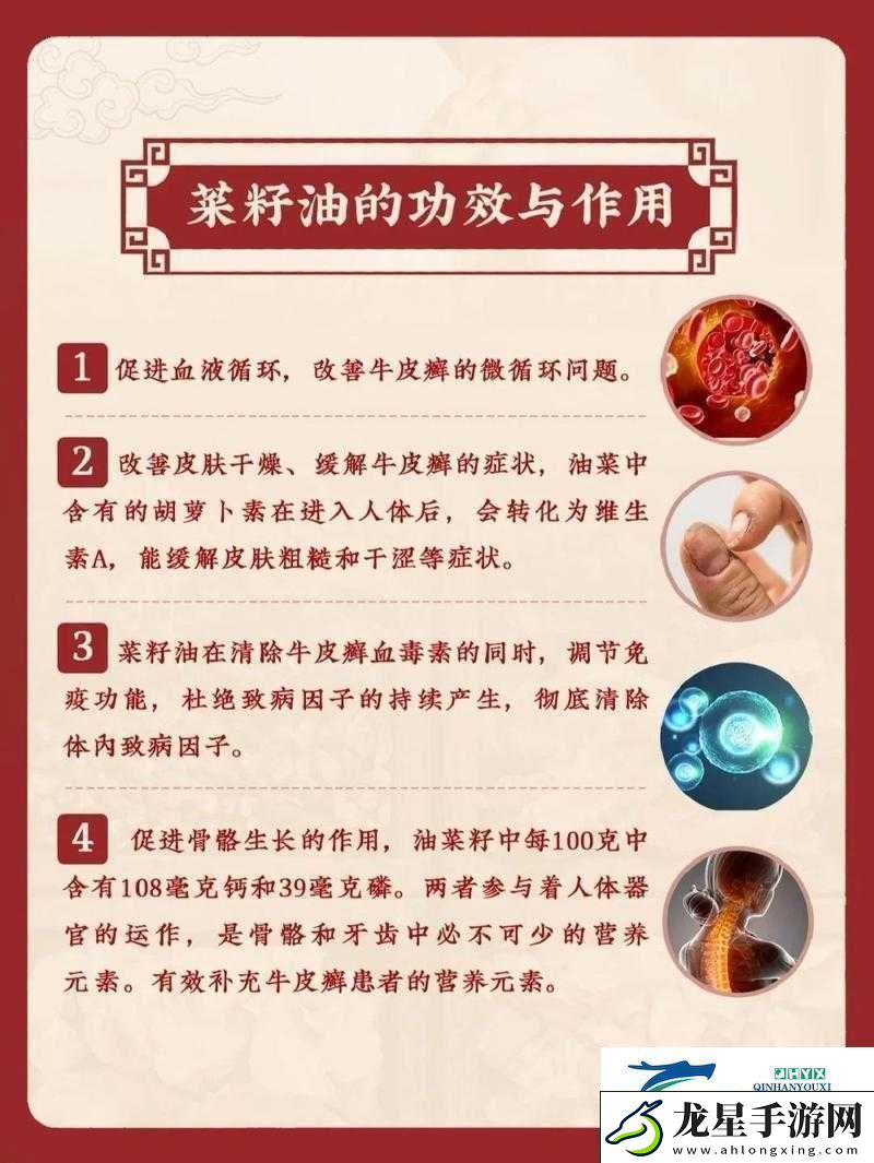 藏秘四十八油有何功效與作用