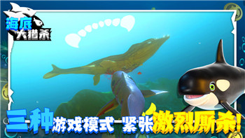 希望之村開始和百合花有什么區(qū)別-探索兩者的本質(zhì)與深層聯(lián)系