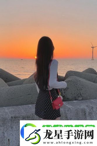 外國(guó)大片又大又好看的ppt