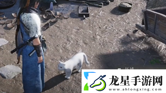 燕云十六聲燒瓷嶺貓咪在哪燕云十六聲燒瓷嶺貓戲全收集攻略