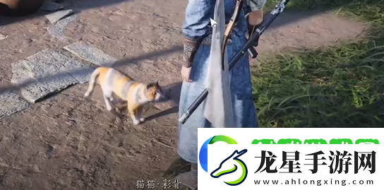 燕云十六聲七閥坡貓咪在哪