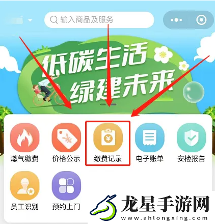 e城e家新奧燃?xì)饫U費(fèi)記錄怎么查