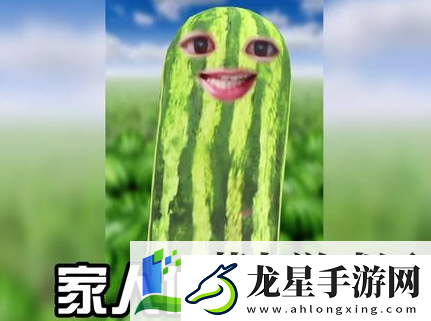 抖音2023上半年網(wǎng)絡(luò)熱詞