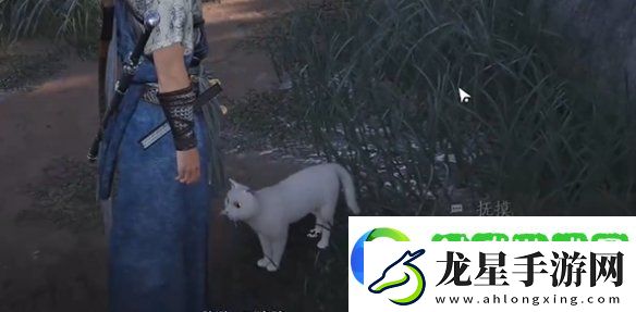 燕云十六聲七閥坡貓咪在哪