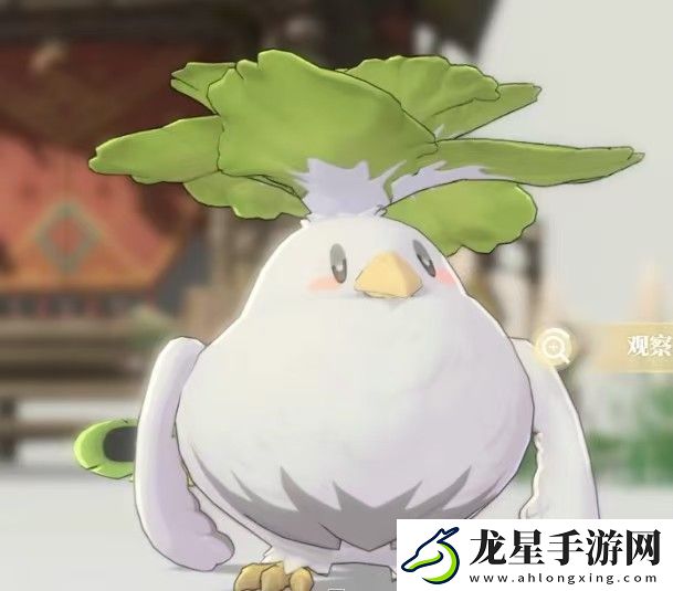 藍色星原旅謠奇波有哪些