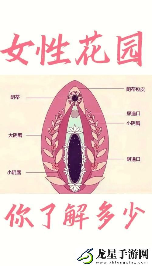 探索“大蔭蒂bbbbbb大蔭蒂”的多元魅力與文化內(nèi)涵