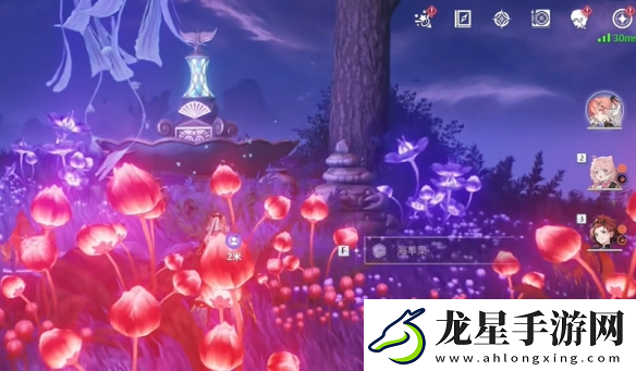 鳴潮幽夜幻夢任務(wù)怎么做