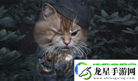 燕云十六聲七閥坡貓咪在哪