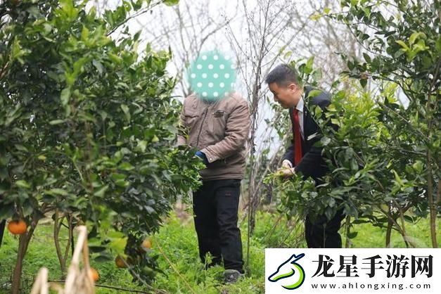 農(nóng)村人亂弄一區(qū)二區(qū)的處罰方式