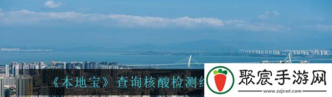 本地寶怎么查詢核酸檢測結(jié)果