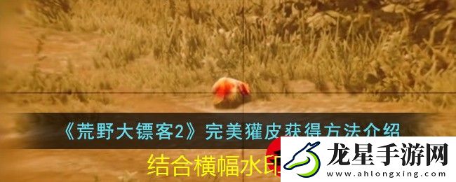 荒野大鏢客2完美獾皮獲取技巧全解析