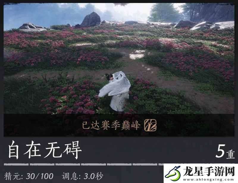 燕云十六聲PVP奇術(shù)怎么搭配