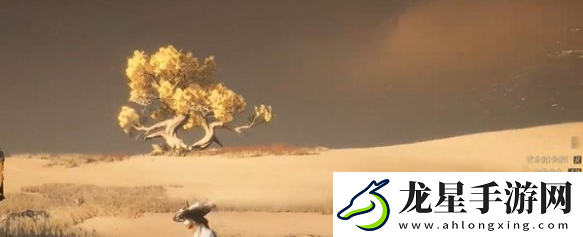 燕云十六聲迷津渡天地萬籟在哪