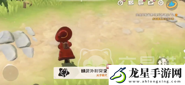 洛克王國世界犀角鳥如何獲取