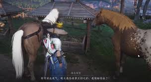 燕云十六聲化馬記奇遇任務(wù)完成攻略