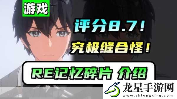 深度解析