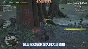 怪物獵人荒野10種稀有特產怎么獲取